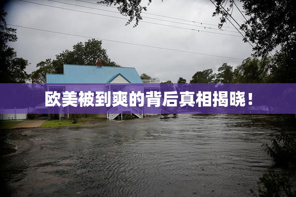 欧美被到爽的背后真相揭晓！