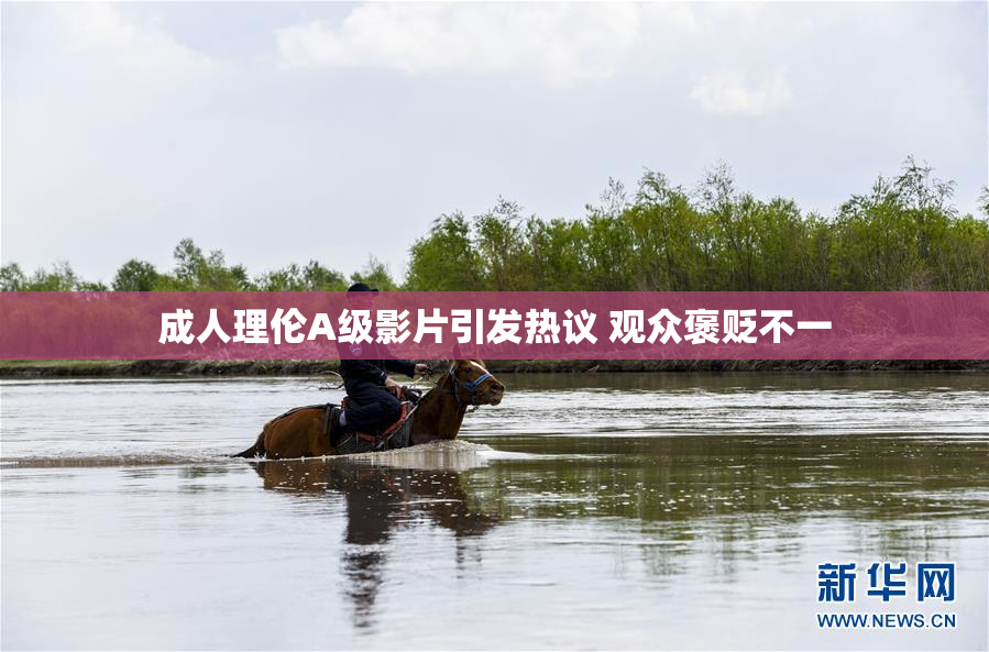 成人理伦A级影片引发热议 观众褒贬不一