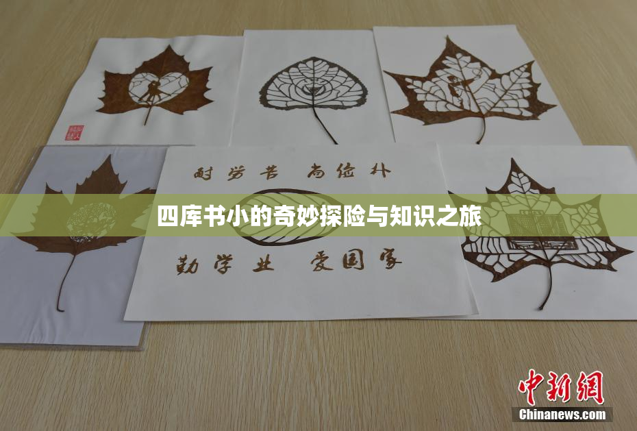 四库书小的奇妙探险与知识之旅