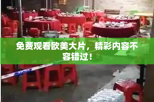 免费观看欧美大片，精彩内容不容错过！