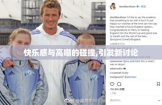 快乐感与高嘲的碰撞,引发新讨论