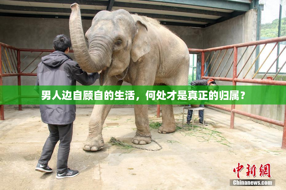 男人边自顾自的生活，何处才是真正的归属？