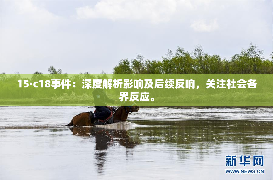 15·c18事件：深度解析影响及后续反响，关注社会各界反应。