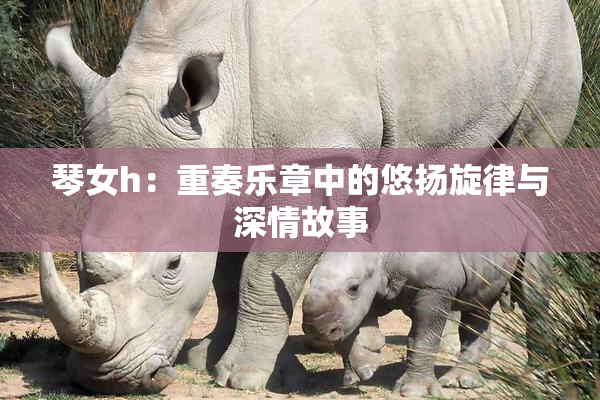 琴女h：重奏乐章中的悠扬旋律与深情故事
