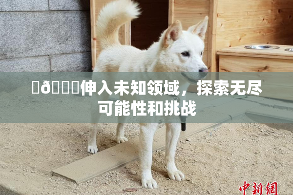 ‌🍌伸入未知领域，探索无尽可能性和挑战