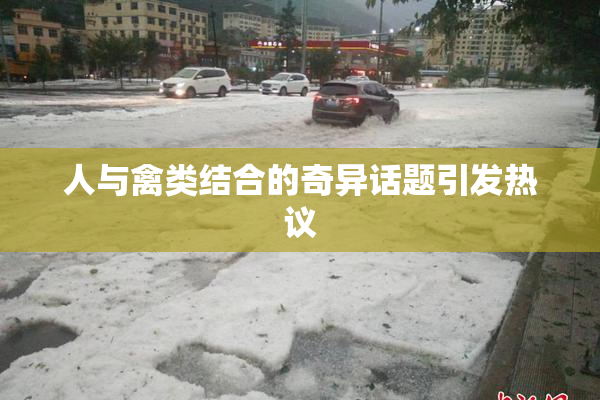 人与禽类结合的奇异话题引发热议