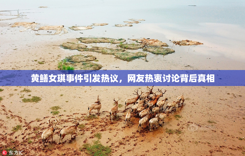 黄鳝女琪事件引发热议，网友热衷讨论背后真相