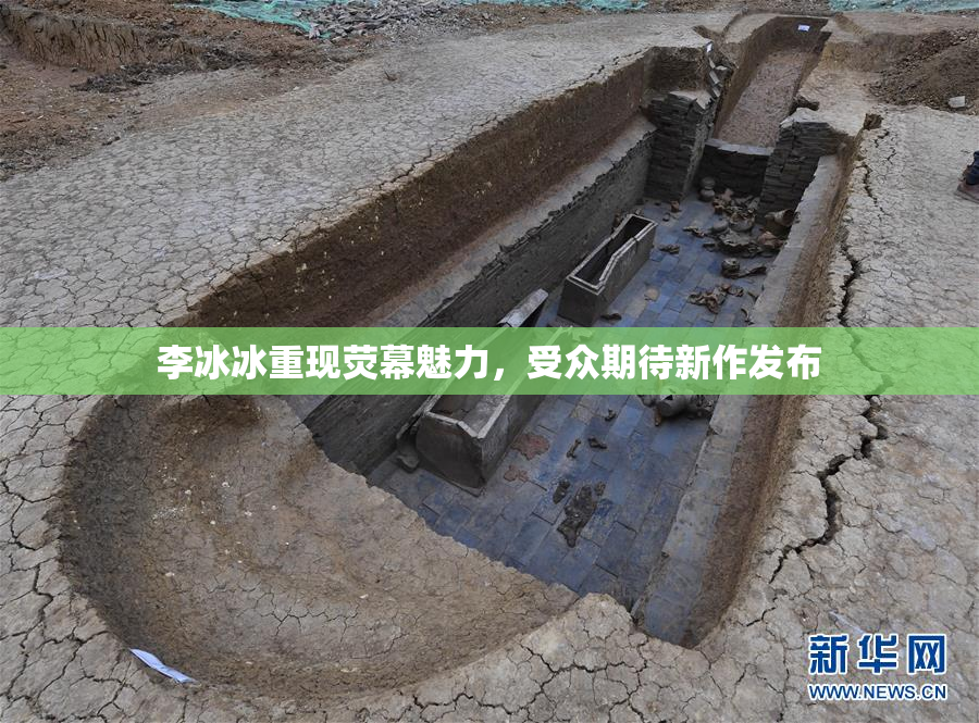 李冰冰重现荧幕魅力，受众期待新作发布