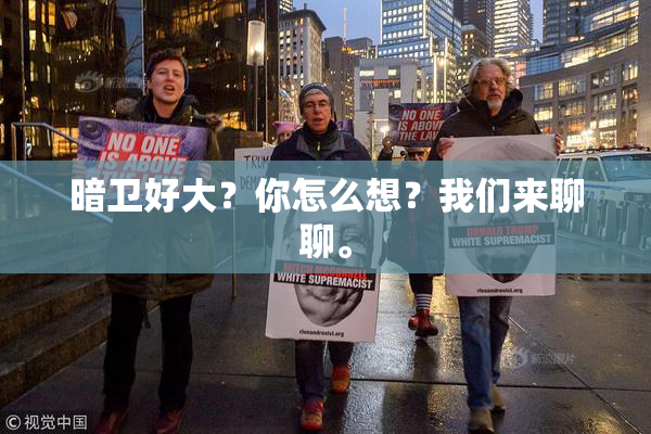 暗卫好大？你怎么想？我们来聊聊。