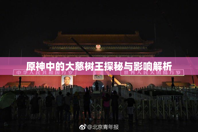 原神中的大慈树王探秘与影响解析