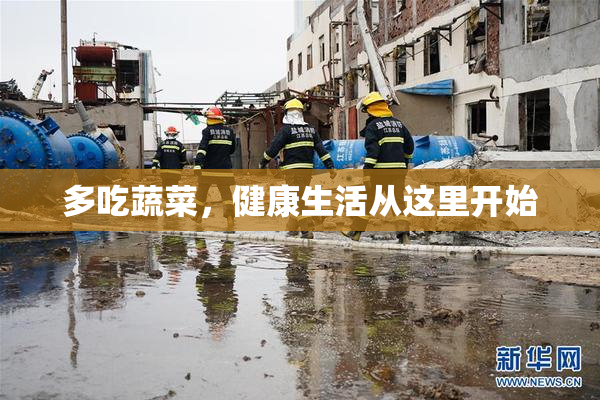 多吃蔬菜，健康生活从这里开始