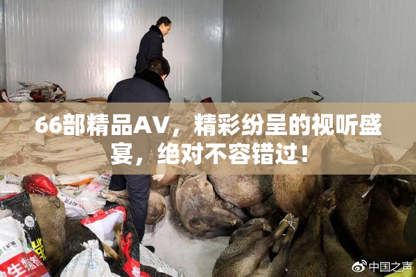 66部精品AV，精彩纷呈的视听盛宴，绝对不容错过！