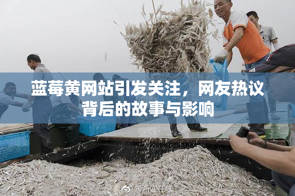 蓝莓黄网站引发关注，网友热议背后的故事与影响
