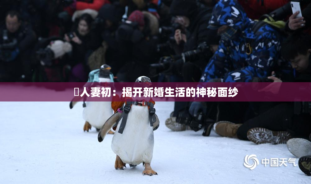 巜人妻初：揭开新婚生活的神秘面纱
