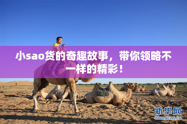 小sao货的奇趣故事，带你领略不一样的精彩！