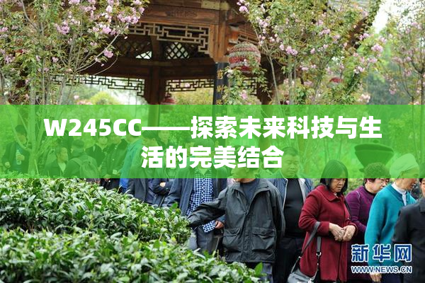 W245CC——探索未来科技与生活的完美结合