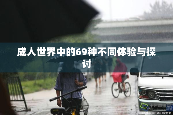 成人世界中的69种不同体验与探讨