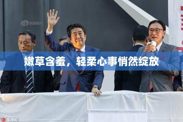 嫩草含羞，轻柔心事悄然绽放