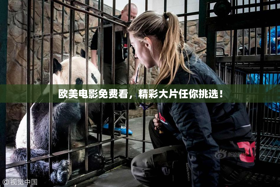 欧美电影免费看，精彩大片任你挑选！