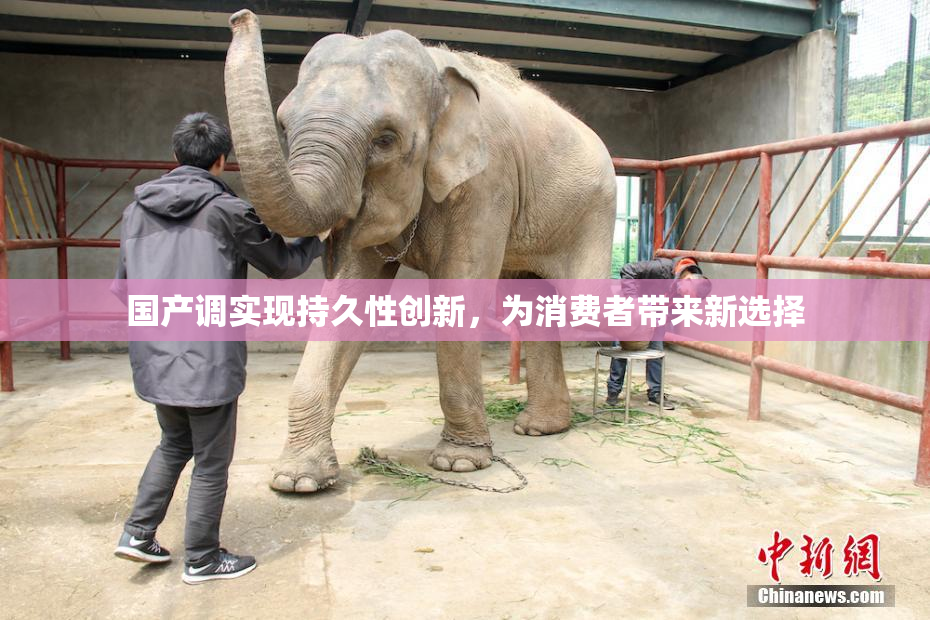 国产调实现持久性创新，为消费者带来新选择