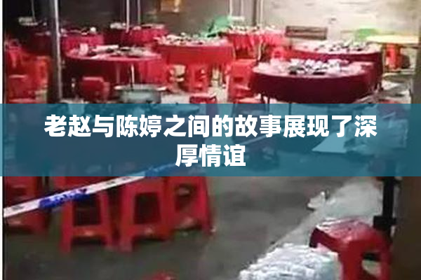 老赵与陈婷之间的故事展现了深厚情谊