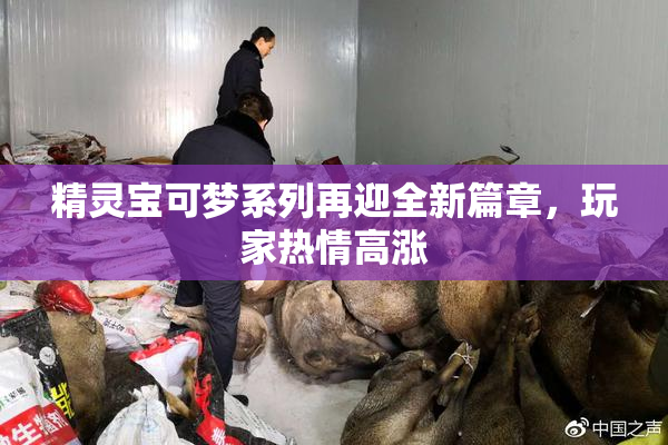 精灵宝可梦系列再迎全新篇章，玩家热情高涨