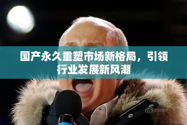 国产永久重塑市场新格局，引领行业发展新风潮