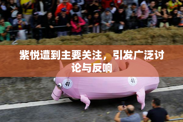 紫悦遭到主要关注，引发广泛讨论与反响