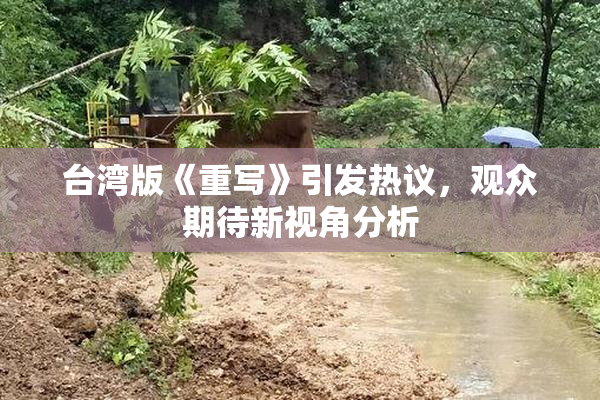 台湾版《重写》引发热议，观众期待新视角分析
