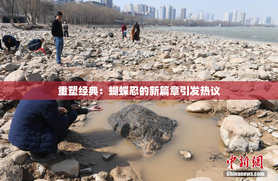 重塑经典：蝴蝶忍的新篇章引发热议