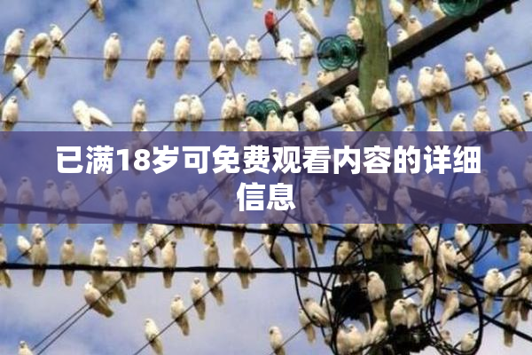已满18岁可免费观看内容的详细信息