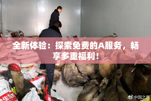 全新体验：探索免费的A服务，畅享多重福利！