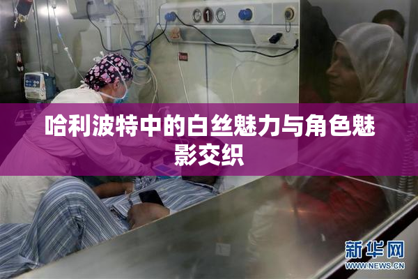 哈利波特中的白丝魅力与角色魅影交织