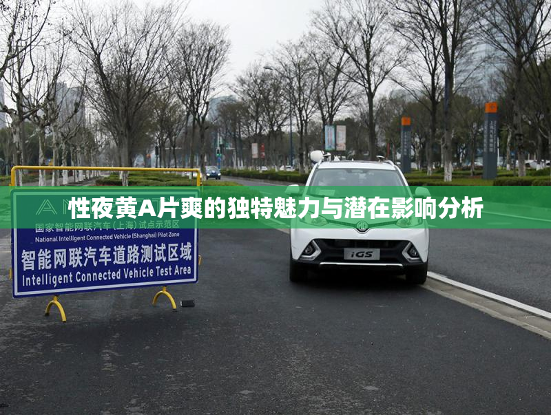 性夜黄A片爽的独特魅力与潜在影响分析