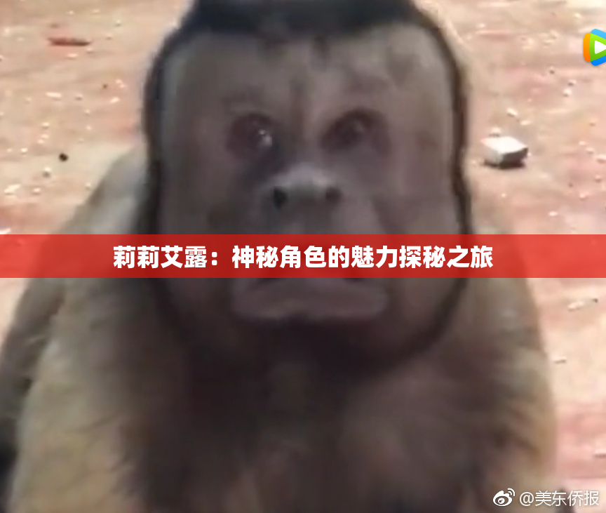 莉莉艾露：神秘角色的魅力探秘之旅
