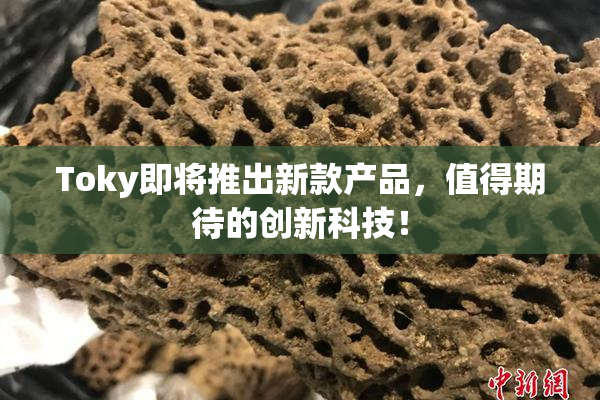 Toky即将推出新款产品，值得期待的创新科技！