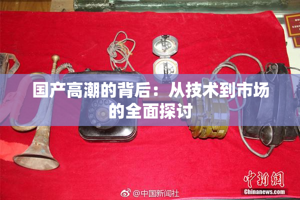 国产高潮的背后：从技术到市场的全面探讨