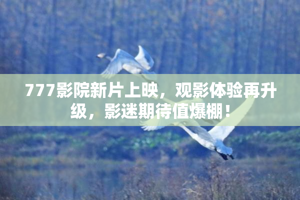 777影院新片上映，观影体验再升级，影迷期待值爆棚！