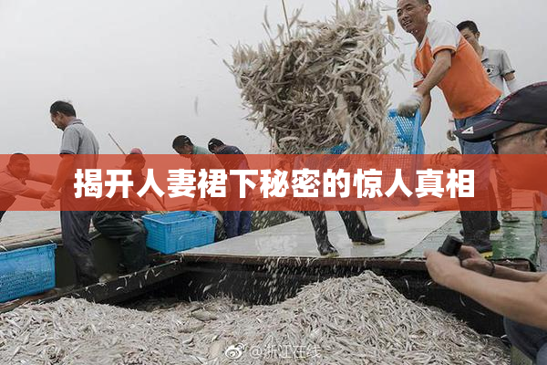揭开人妻裙下秘密的惊人真相