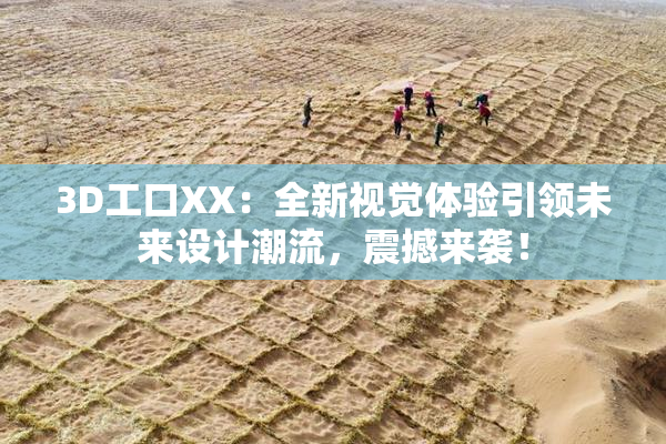 3D工口XX：全新视觉体验引领未来设计潮流，震撼来袭！