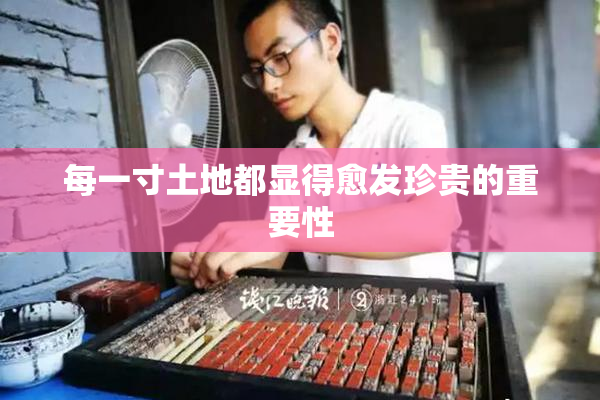 每一寸土地都显得愈发珍贵的重要性