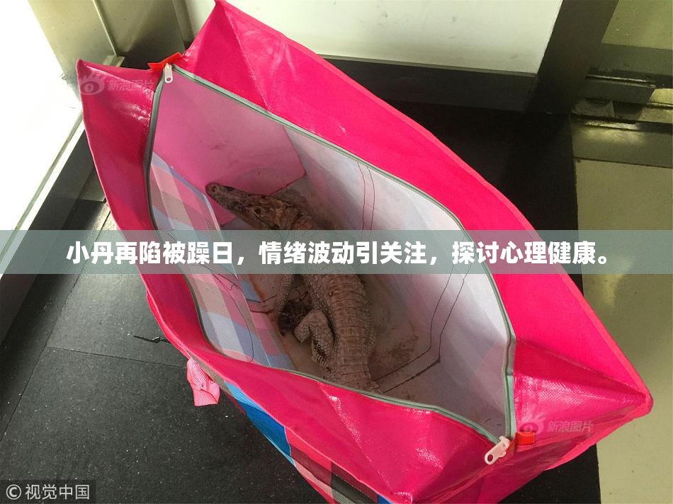 小丹再陷被躁日，情绪波动引关注，探讨心理健康。