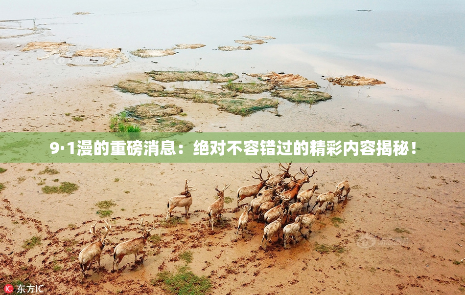 9·1漫的重磅消息：绝对不容错过的精彩内容揭秘！