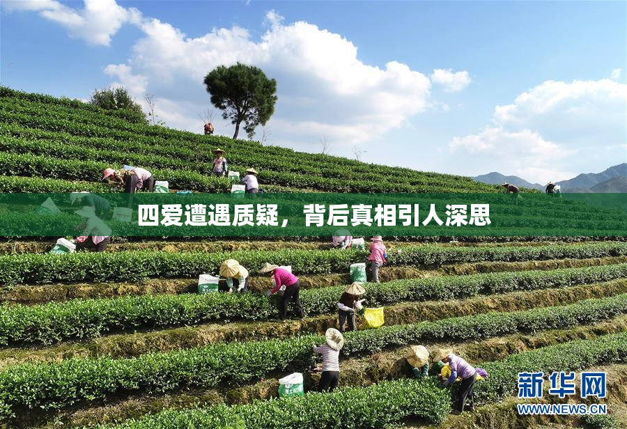 四爱遭遇质疑，背后真相引人深思