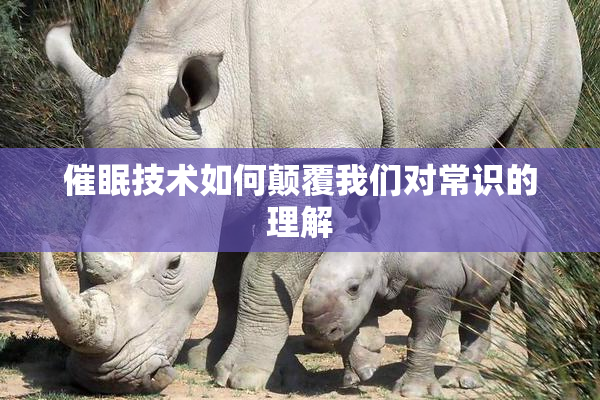 催眠技术如何颠覆我们对常识的理解