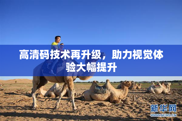 高清码技术再升级，助力视觉体验大幅提升
