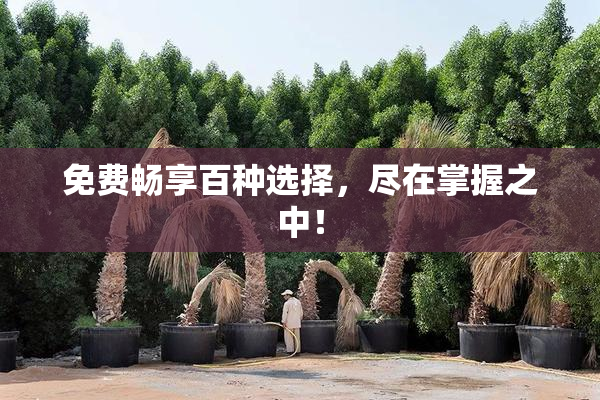 免费畅享百种选择，尽在掌握之中！