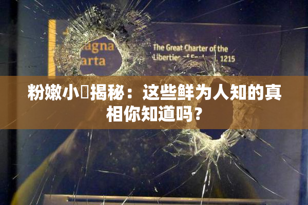 粉嫩小泬揭秘：这些鲜为人知的真相你知道吗？