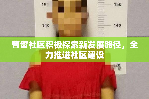 曹留社区积极探索新发展路径，全力推进社区建设