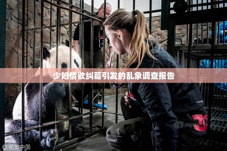少妇情欲纠葛引发的乱象调查报告